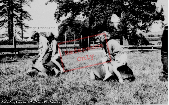 Photo of Llannerch Hall, Deer Park, Giant Tortoise c.1960