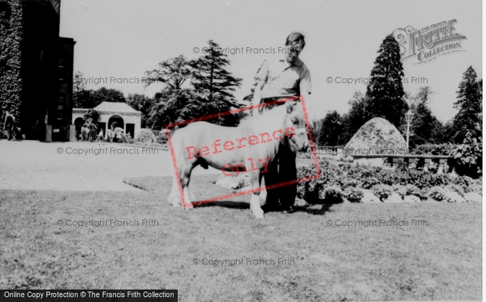 Photo of Llannerch Hall, Deer Park, Prince The Pony c.1960