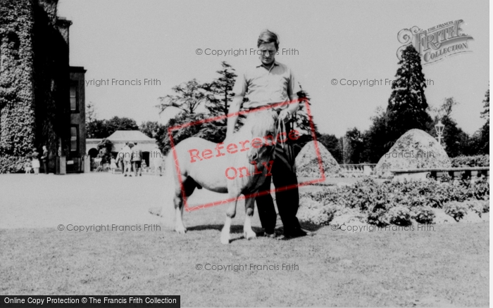 Photo of Llannerch Hall, Deer Park, Prince The Pony c.1960