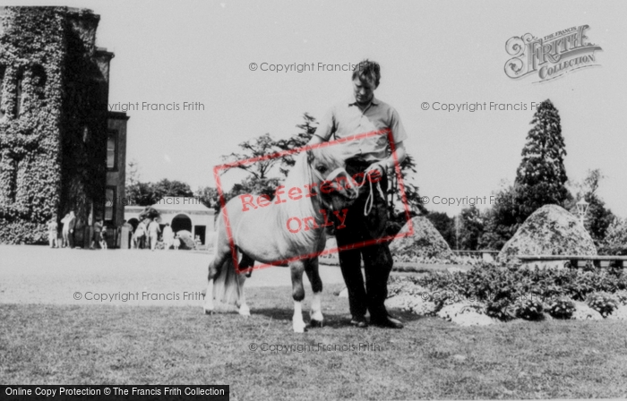 Photo of Llannerch Hall, Deer Park, Prince the Pony c1960