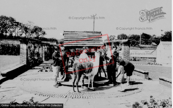 Photo of Llannerch Hall, Deer Park, The Wishing Well c.1960