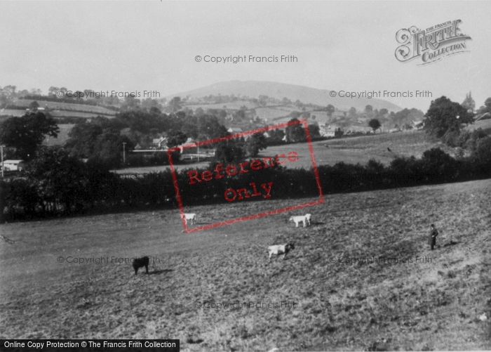 Photo of Llanrhaeadr Ym Mochnant, General View c.1950