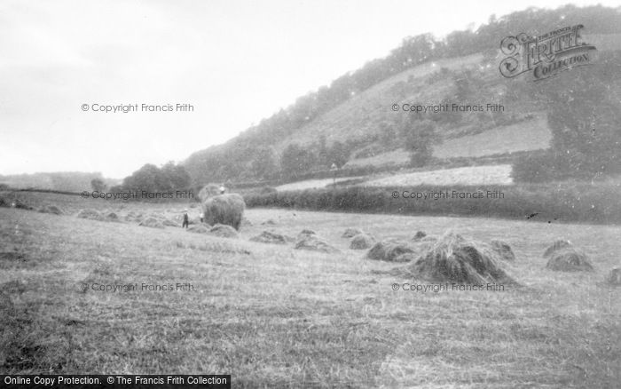 Photo of Llansantffraid Ym Mechain, Harvest, Foel Hill c.1955