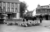 Driving Sheep Through The Square c.1930, Llanwrtyd Wells