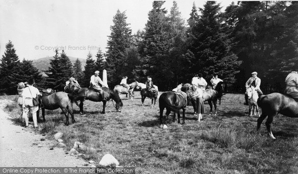 Photo of Llanwrtyd Wells, Pony Trekking Association, The Ponies c.1960