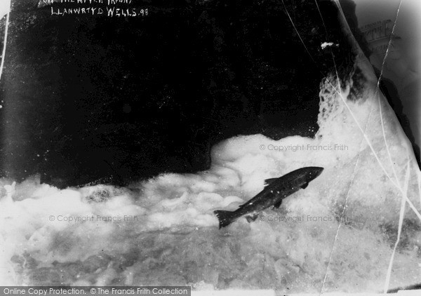 Photo of Llanwrtyd Wells, Salmon On The River Ifron c.1940