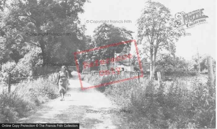 Photo of Llechryd, Canal Walk c.1955