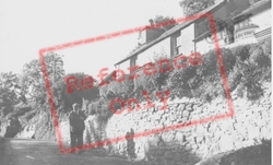 The Village c.1960, Llwyndafydd
