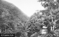 1892, Llyfnant Valley