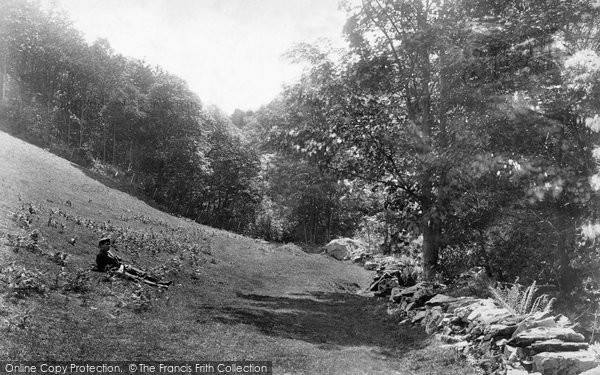 Photo of Llyfnant Valley, Near The Falls 1901