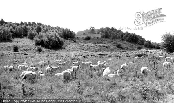 Photo of Llynclys, A View On Llynclys Hill c.1960