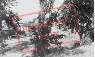 Gadlas Road c.1955, Llysfaen