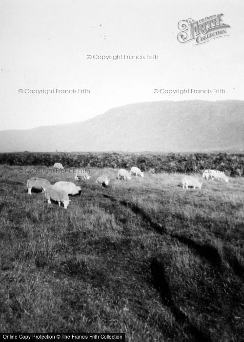 Photo of Loch Carron, Strathcarron c.1935