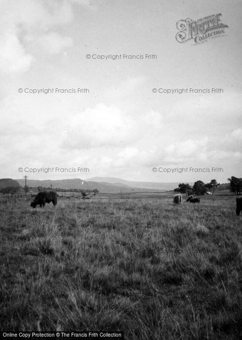 Photo of Loch Venachar, Highland Cattle c.1935