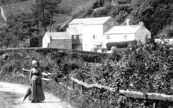 Mill 1890, Loddiswell