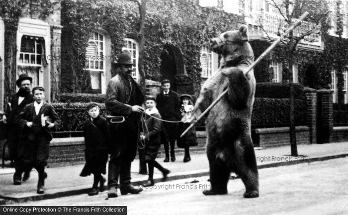 Photo of London, Dancing Bear 1895