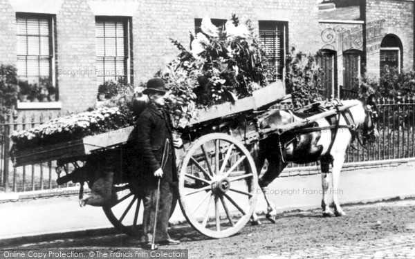 Photo of London, Flower Cart, Greenwich 1885