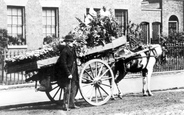 Flower Cart, Greenwich 1885, London