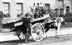 Flower Cart, Greenwich 1885, London