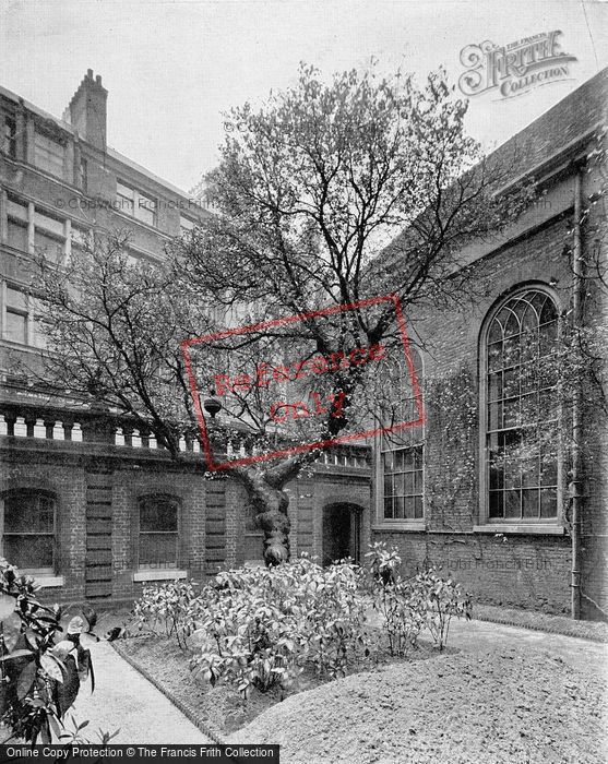 Photo of London, Girdler's Hall, The Mulberry Tree c.1895