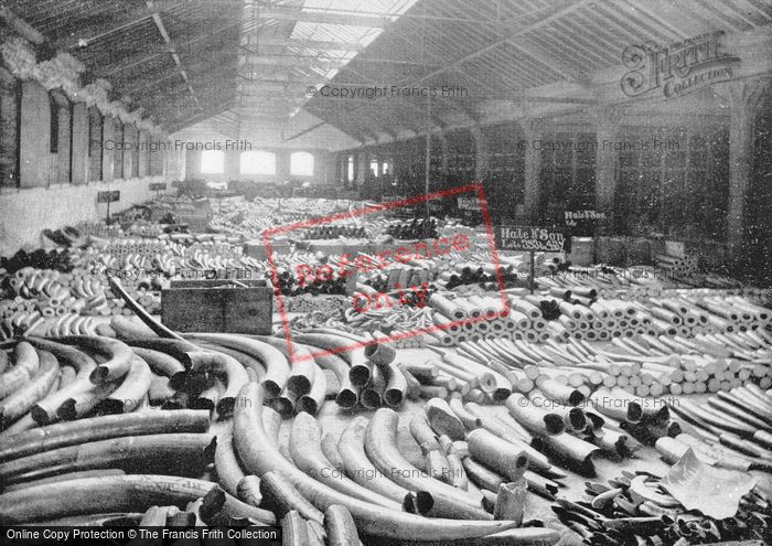 Photo of London, Interior Of Ivory Warehouse, The London Docks c.1895