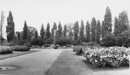 Queen Mary Gardens c.1965, London