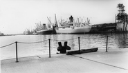 Queen Victoria Docks c.1965, London