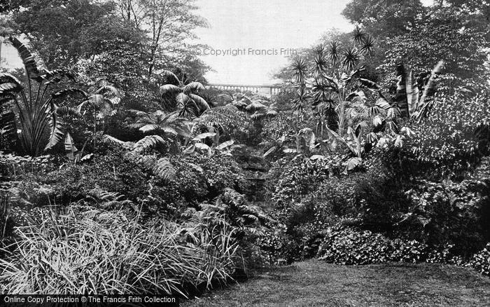 Photo of London, The Dell, Hyde Park c.1895