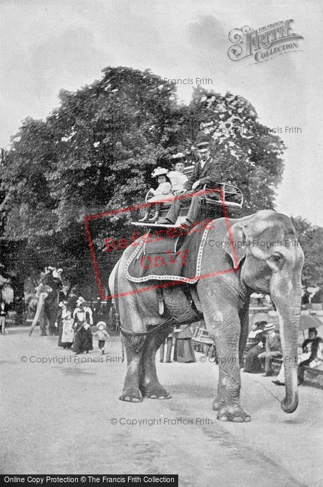 Photo of London Zoological Gardens, Children Riding On The Elephants c.1895