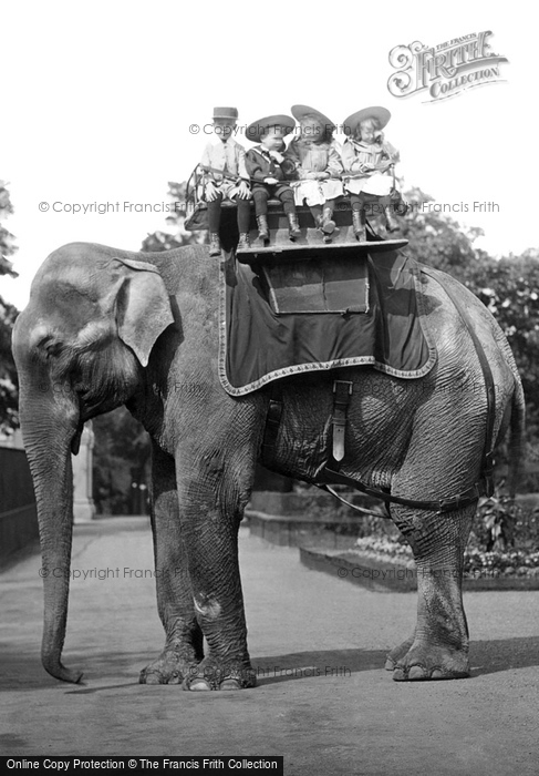 London Zoological Gardens, Elephant Ride 1913 Photo of London Zoological Gardens, Elephant Ride 1913
