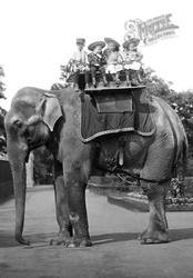 London Zoological Gardens, Elephant Ride c.1896, London Zoo