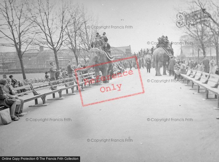Photo of London Zoological Gardens, Elephant Rides c.1935
