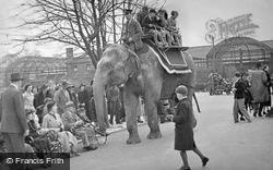London Zoological Gardens, Elephant Rides c.1935, London Zoo
