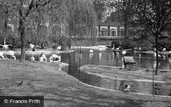 London Zoological Gardens, Flamingo Pool c.1935, London Zoo