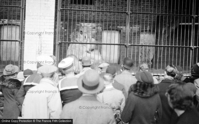 Photo of London Zoological Gardens, Onlookers c.1935