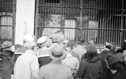 London Zoological Gardens, Onlookers c.1935, London Zoo