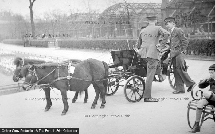 Photo of London Zoological Gardens, Pony And Trap Rides c.1935
