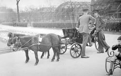 London Zoological Gardens, Pony And Trap Rides c.1935, London Zoo