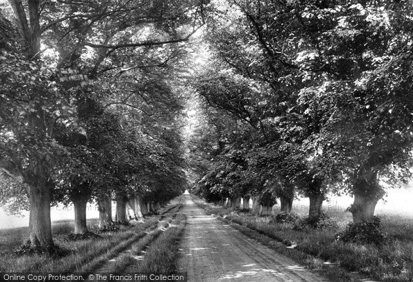 Photo of Long Melford, Kentwell Avenue 1895