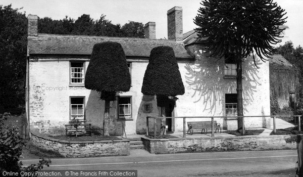 Photo of Longhope, The Yew Trees c.1955