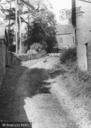 Sheep Dog, The Roman Road c.1960, Longtown