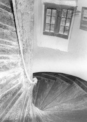 Wilderhope Manor Yha Hostel, Staircase c.1960, Longville In The Dale