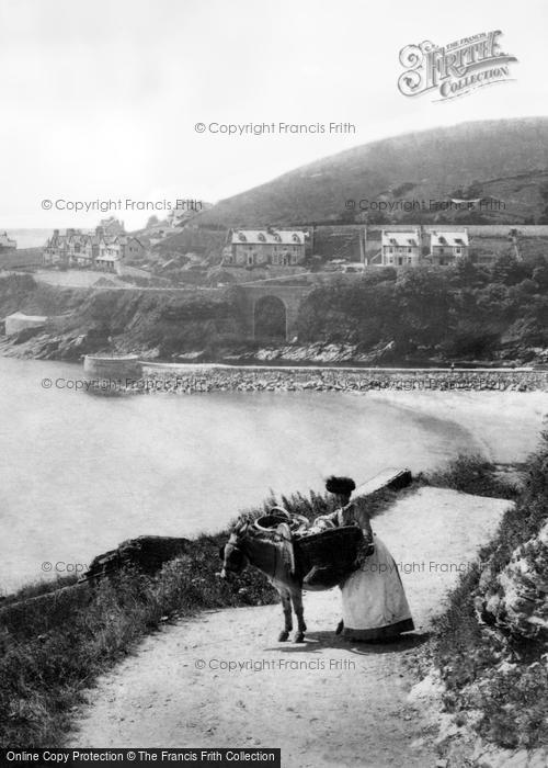 Photo of Looe, A Working Donkey 1906