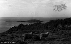 Looe Island From The Mainland c.1965, Looe