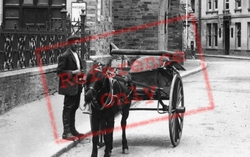 Pony And Cart 1908, Looe