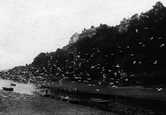 Seagulls 1912, Looe