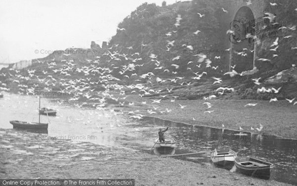 Photo of Looe, Seagulls 1912