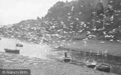 Seagulls 1912, Looe