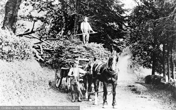 Photo of Lostwithiel, Gathering Wood With A Horse And Cart 1906