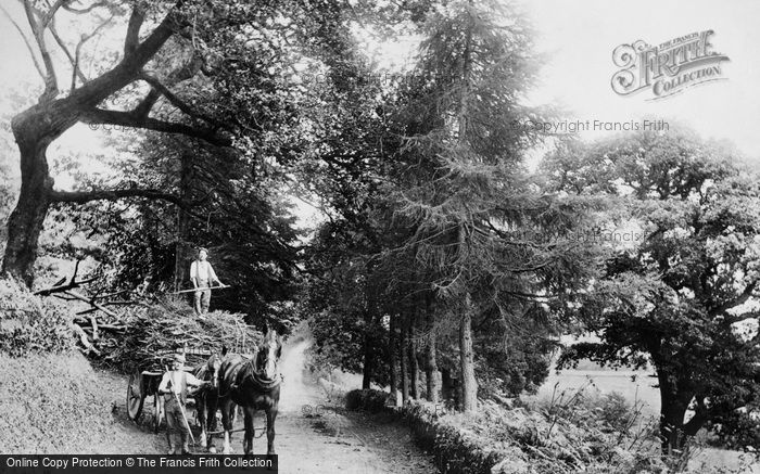 Photo of Lostwithiel, On The Road To Restormel House 1906